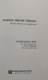 WAING DREAM THERAPY：Dream Process as Imagination  放弃梦想疗法：作为想象的梦想过程【大32开，精装本】