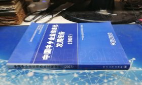 中国中小企业信息化发展报告 2007