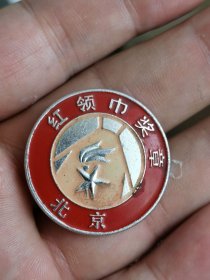 北京市红领巾奖章