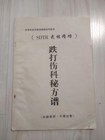 《SDTR武林精功》跌打伤科秘方谱