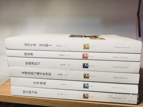 身份共同体70后作家大系：这些年我一直在路上