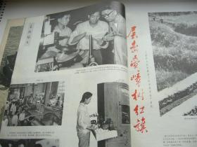 广东画报（1965-12）