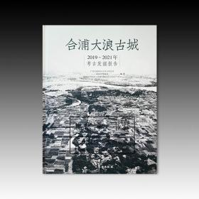 合浦大浪古城2019-2021年考古发掘报告【精】