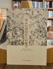 花山岩画保护工程报告【全新现货 未拆封】