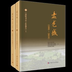 盘龙城（1995~2019）（一）：田野考古工作报告（全2册）