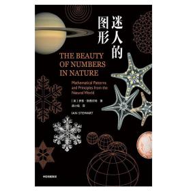迷人的图形：从数学的角度理解周围的世界，领略数学的美 /伊恩·斯图尔特