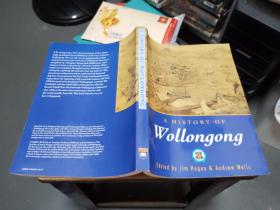 a history of wollongong