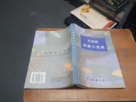 王安林短篇小說集【作者簽贈本 】