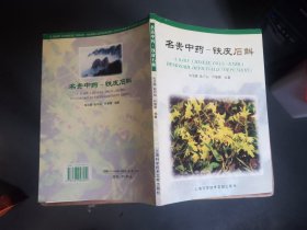 名贵中药：铁皮石斛