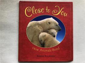精装！英文原版  儿童读物  Close  to  you  How Animals Bond   KAJIKAWA