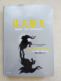 让大象飞:激进创新，让你一飞冲天的创业术