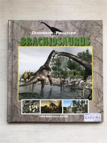 精装！DINOSAUR  PROFILES    BRACHIOSAURUS  恐龙系列  腕龙 英文原版
