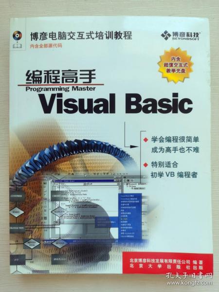 Visual Basic编程高手