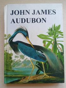 外版手绘图册JOHN JAMES AUDUBON（奥杜邦手绘鸟类图册）