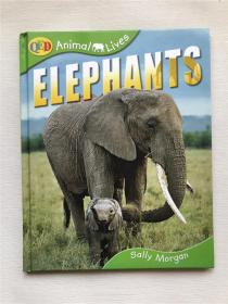 精装！QED Animal Lives   ELEPHANTS  Sally  Morgan    大象  英本原版 儿童绘本  实拍图