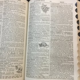 WEBSTER’S COLLEGIATE DICTIONARY