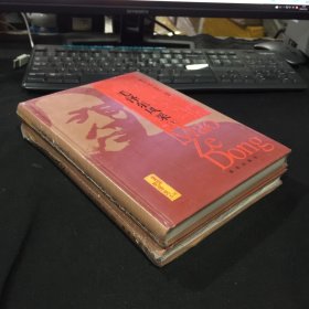 《毛泽东的风采》上下
