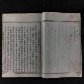 清同治木刻活字《剡西谢氏宗谱》两册白纸线装（重修整）彩像精美，完整