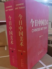 今日中国美术:[中英文本]全两册 9787805012421北京出版社 c