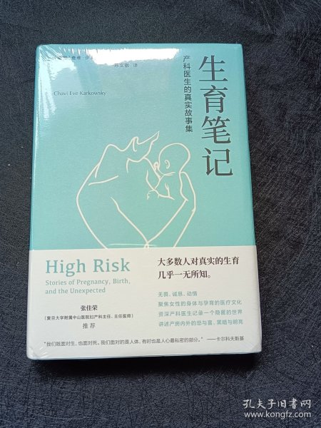 生育笔记：产科医生的真实故事集