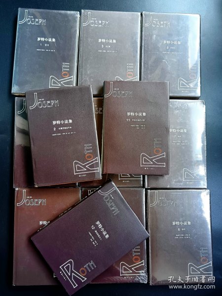 正版现货实拍 罗特小说集12册全 拉德茨基进行曲及其他