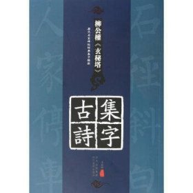 历代名家碑帖经典集字临创：柳公权《玄秘塔》集字古诗