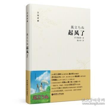 起风了（日汉对照·精装版）：宫崎骏收官之作原著小说