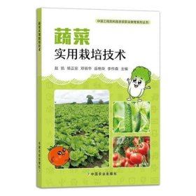 蔬菜实用栽培技术/中国工程院科技扶贫职业教育系列丛书