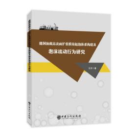 缝洞油藏高表面扩张模量起泡体系构建及泡沫流动行为研究