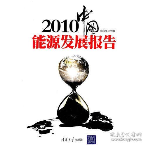 2010中国能源发展报告