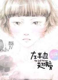 左半边翅膀：我不是坏女生IV