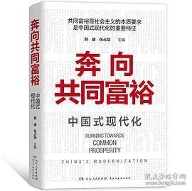 奔向共同富裕（读懂共同富裕，看清未来中国！深入浅出，雅俗共赏，两大TOP级智库联袂巨献，通俗理论重磅大作！）