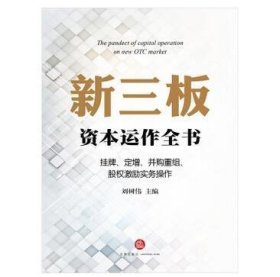 新三板资本运作全书：挂牌、定增、并购重组、股权激励实务操作