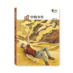 风中的少年（彩图版）