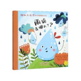 雨滴去哪儿了？/揭秘大自然科普翻翻绘本