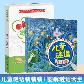 儿童智力开发 谜语大世界 全4册  小学生逻辑思维训练书籍 6-12岁专注力训练书 益智游戏故事书