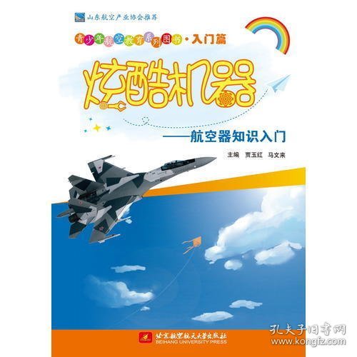 青少年航空教育系列图书·入门篇·炫酷机器：航空器知识入门