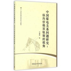 中国煤电关系问题研究：纵向价格双轨制的视角