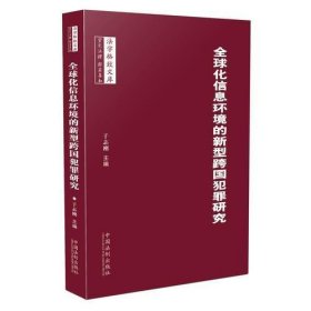 全球化信息环境中的新型跨国犯罪研究