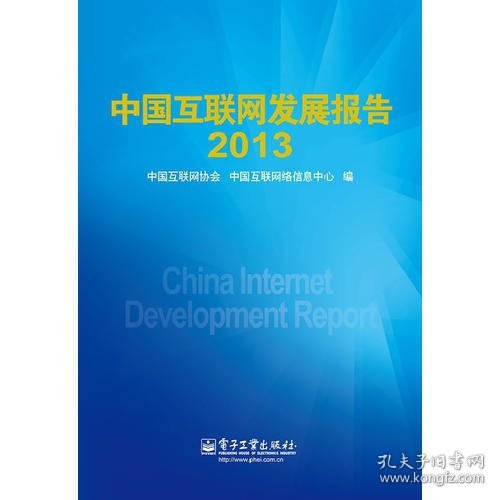 中国互联网发展报告2013