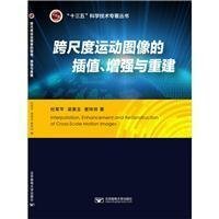 跨尺度运动图像的插值、增强与重建 