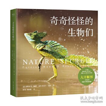 奇奇怪怪的生物们（神奇动物在这里！澳大利亚的五彩蜘蛛、马达加斯加的枯叶壁虎、印度的巨型松鼠…百余种珍稀物种，大开眼界！）