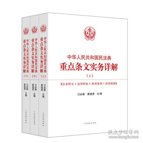 中华人民共和国民法典重点条文实务详解(全3册)