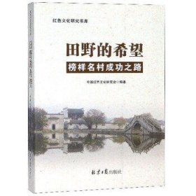 田野的希望榜样名村成功之路/红色文化研究书库