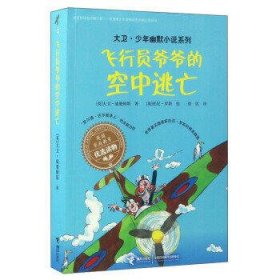 飞行员爷爷的空中逃亡/大卫·少年幽默小说系列