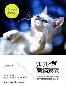 遇见?萌猫家族