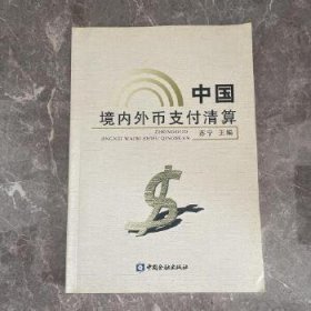 中国境内外币支付清算