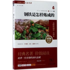 经典名著 大家名译：钢铁是怎样炼成的（无障碍阅读 全译本 素质版）