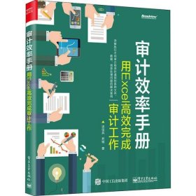 审计效率手册 用Excel高效完成审计工作