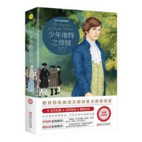 少年维特之烦恼(世界文学名著拓展阅读:名师导读版)